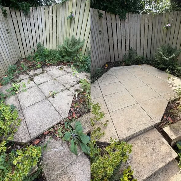 Before and after patio restoration, dull and mossy on the left, clean flags on the right
