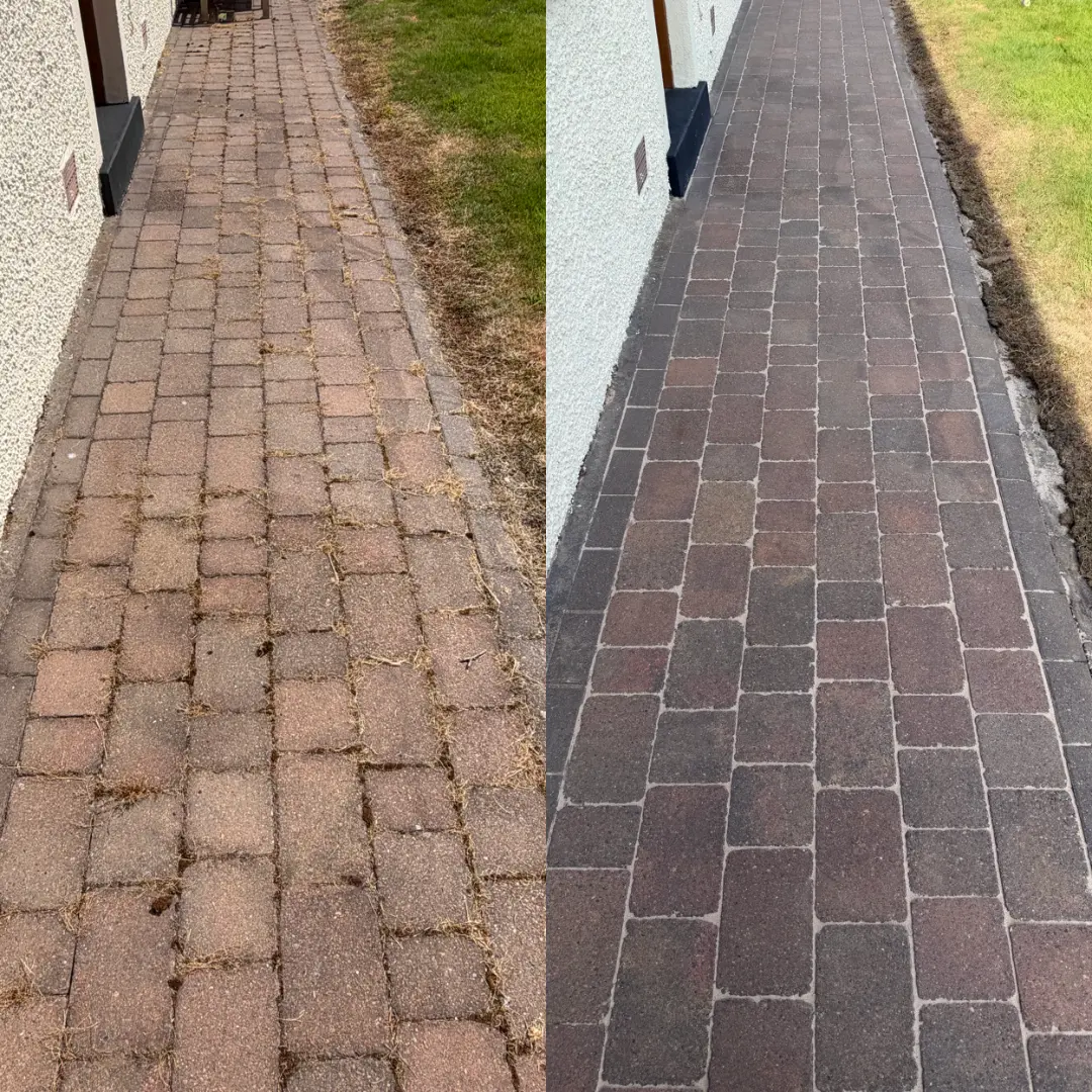 Before and after block paving path restoration with moss and grime removed