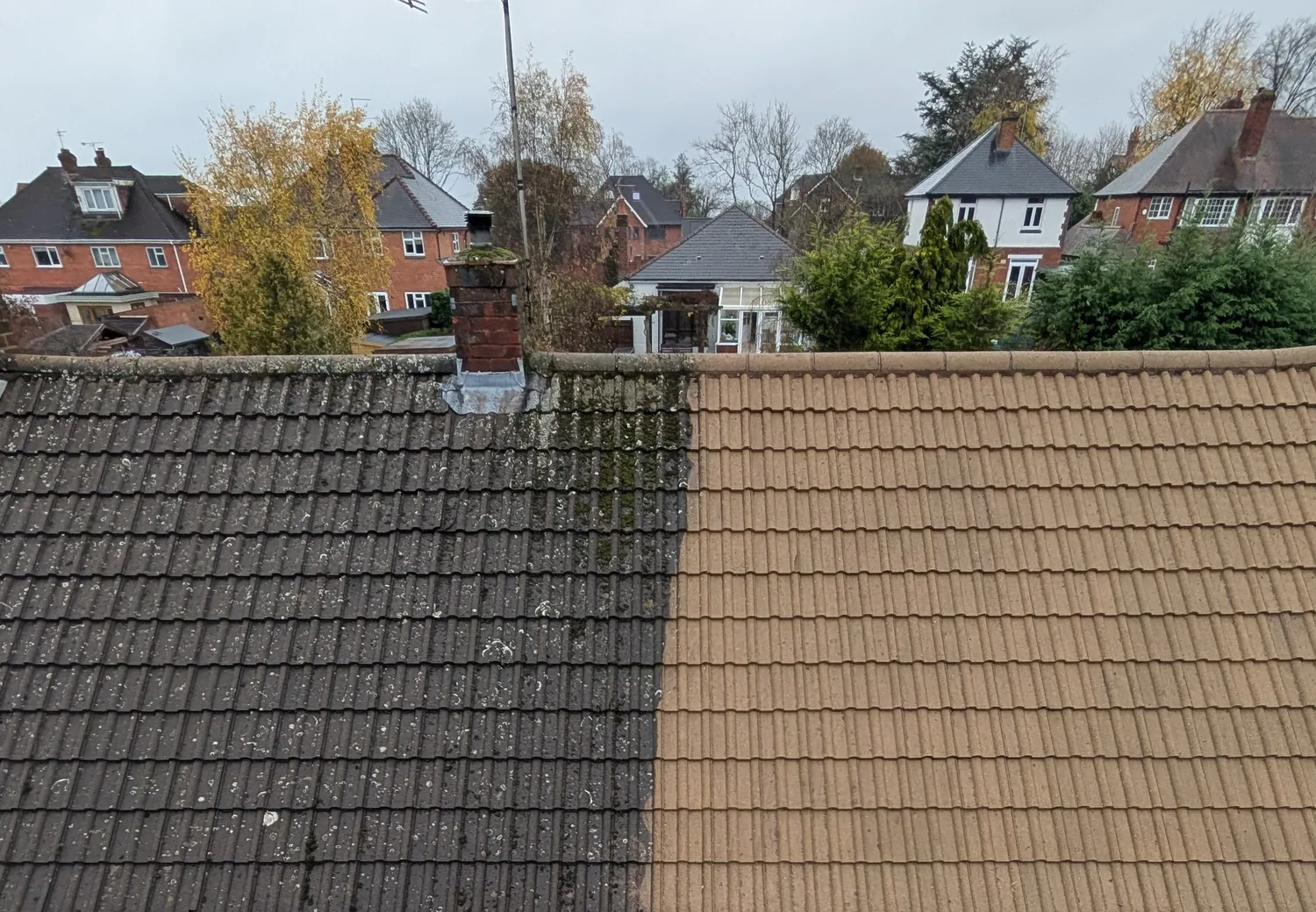Roof Cleaning & Moss Removal Across Dumfries & Surrounding Areas