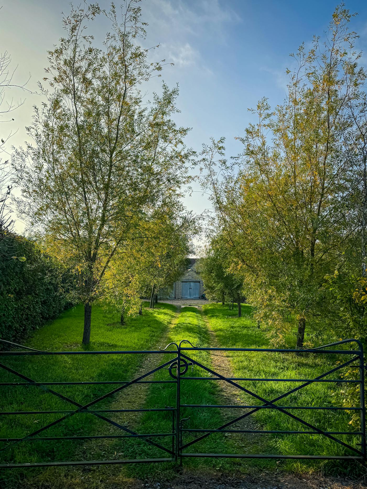Driveway & Patio Cleaning in Dumfries
