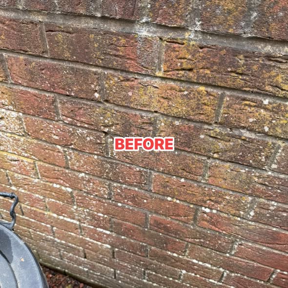 Brick wall before cleaning with visible staining and weathering