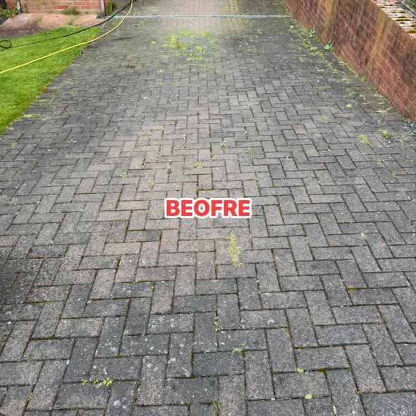 Driveway and patio cleaning before image showing moss, weeds and grime in the joints